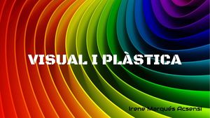 Visual I Plàstica