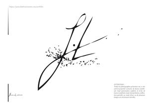 From Earth to the Horizon