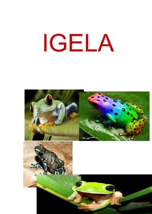 IGELA