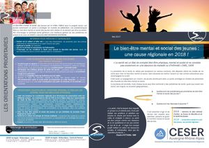 Synthese Le bien-être mental et social des jeunes : une cause régionale en 2018 !