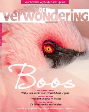 De Verwondering2 2017