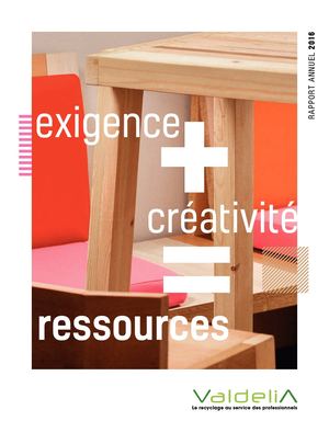 Valdelia - Rapport Annuel 2016