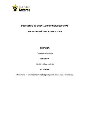 (42) Documento De Orientaciones Metodològicas Para La Enseñanza Y Aprendizaje (2)