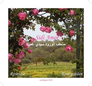 ROSE / Catalogue Roseraie