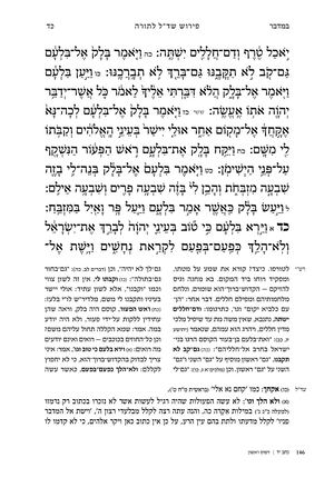 במדבר פרק כד