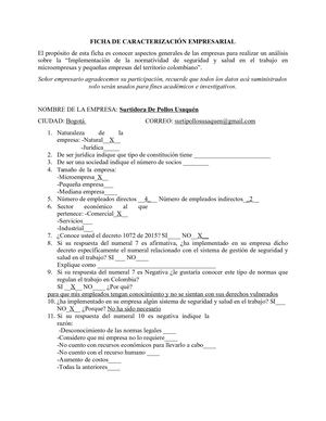 Ficha De Caracterización Empresarial Surtiaves