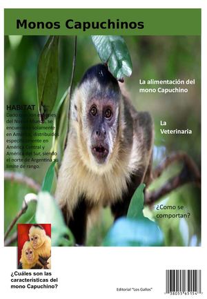 Jose Ricardo Gallo2a