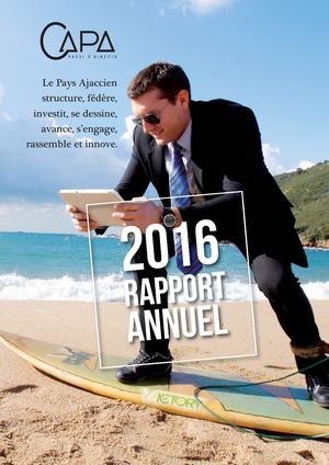 Rapport Dactivite 2016