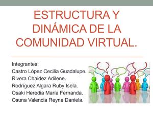 Estructura Y Dinámica De La Comunidad Virtual