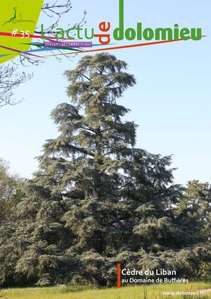 Bulletin Municipal de Dolomieu Juin2017