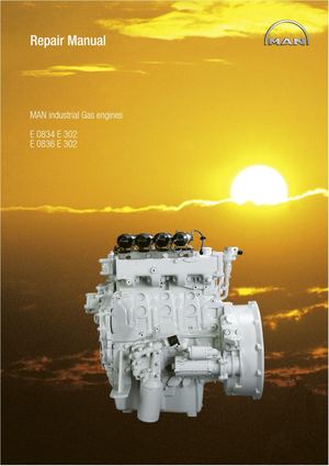 MAN Industrial Gas Engine E302 Service Repair Manual