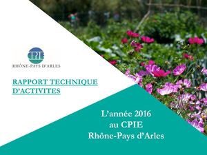 Rapport D Activites CPIE RPA.2016