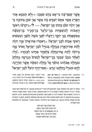 במדבר פרק לו