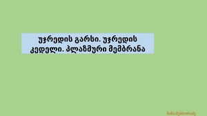 უჯრედი ნანა მესხორაძე