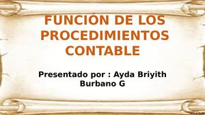 Función De Los Procedimientos Contable