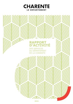 Rapport d'activité 2016