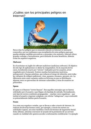 Cuáles Son Los Principales Peligros En Internet