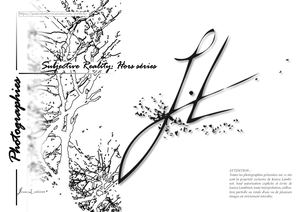 Subjective Reality Hors Série