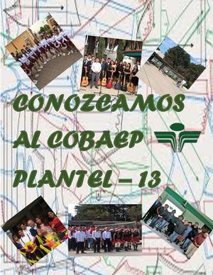 Revista Cobaep