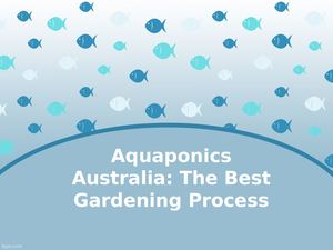 Aquaponics Gardening System