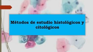 Laboratorio1