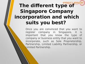 Different types of companies and which singapore company incorporation is best
