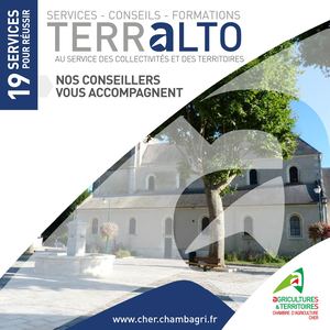 Terralto