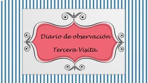 Imelda Cerda - Diario De Observación 3