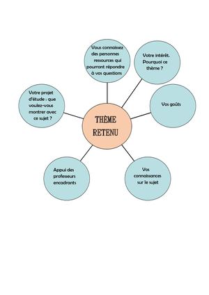 Schema Heuristique Theme Retenu