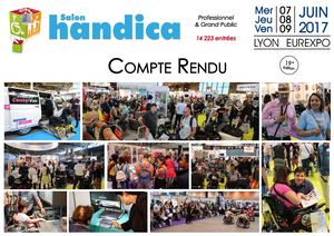 Compte Rendu Visitorat Handica 2017