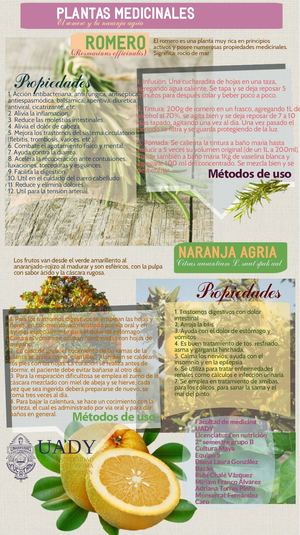 Infrografía plantas medicinales
