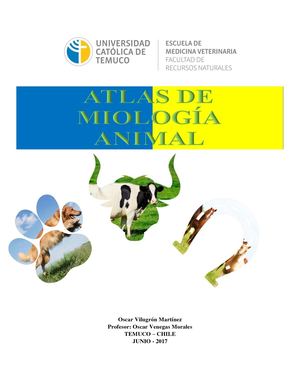 Atlas De Miología Animal Med. Veterinaria UCT