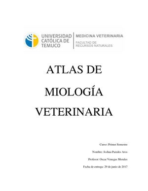 Atlas Miología Oficial