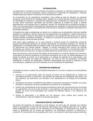 Observacion Del Proceso Escolar