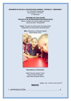 Informe Final De Proyecto Y Diagnóstico