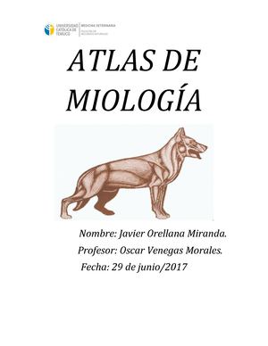 Atlas Javito