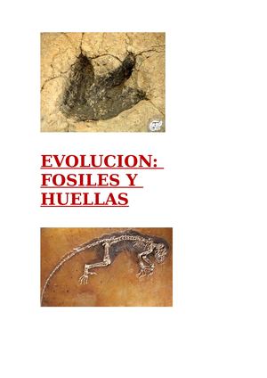 EVOLUCION, FOSILES Y HUELLAS