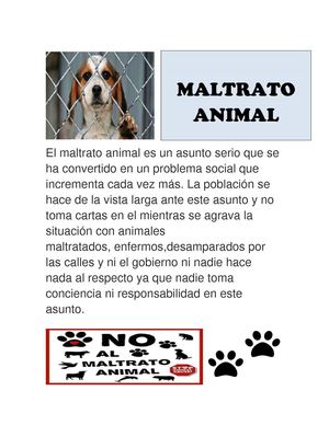 Maltrato Animall