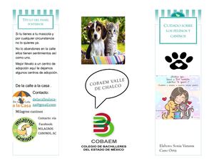 Triptico Caninos Y Felinos