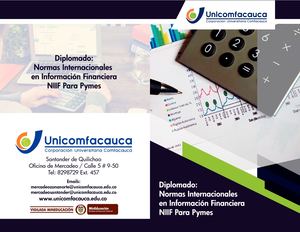Diplomado Normas Internacionales En Información Financiera Niif Para Pymes