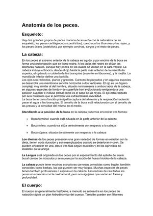 Anatomía De Los Peces