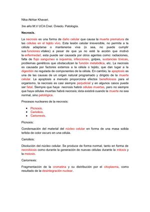 Anatomia Patologica. UCA Nika Akhtar