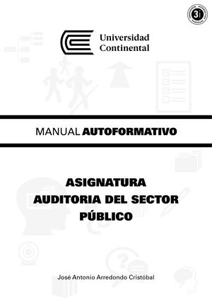 A0033 Auditoría Del Sector Público Ok