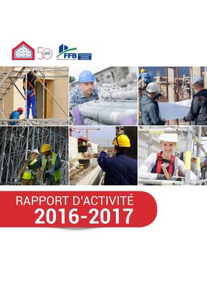 Rapport Sfece 2016 17