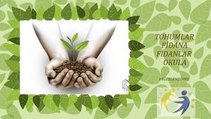 Tohumlar Fidana Fidanlar Okula Pptx