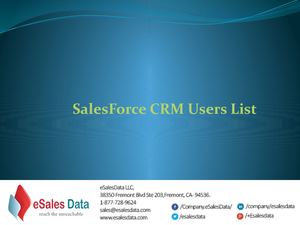Sales Force Users List