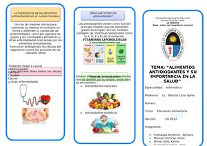 Triptico Antioxidantes 1