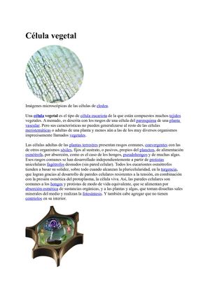 Célula Vegetal