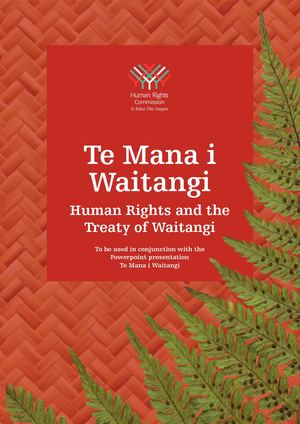 Te Mana I Waitangi Booklet