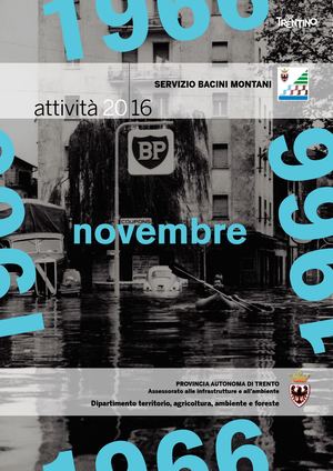 Attività 2016 - Servizio Bacini montani
